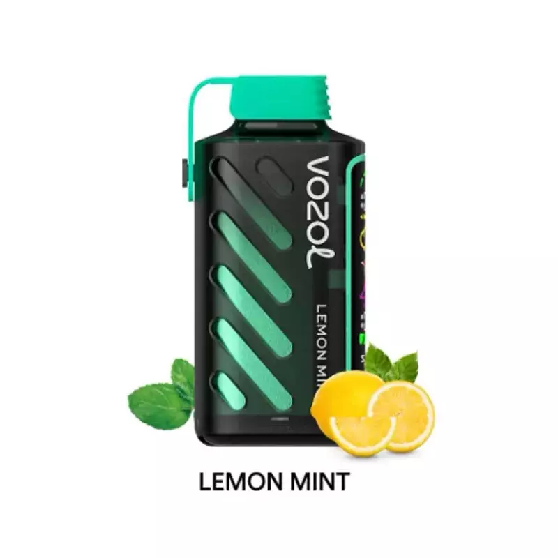 پاد یکبار مصرف ووزول گیرپاور لیمو نعنا VOZOL GEAR POWER LEMON MINT 20000