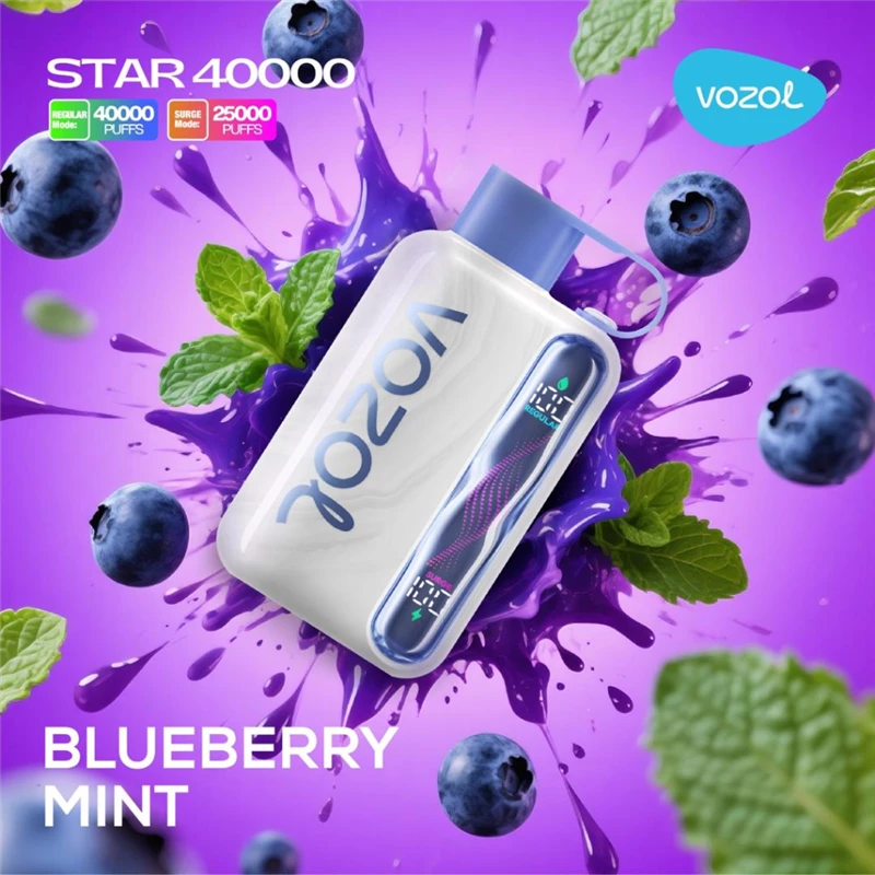 پاد یکبار مصرف ووزول استار بلوبری نعنا VOZOL STAR BLUEBERRY MINT 40000