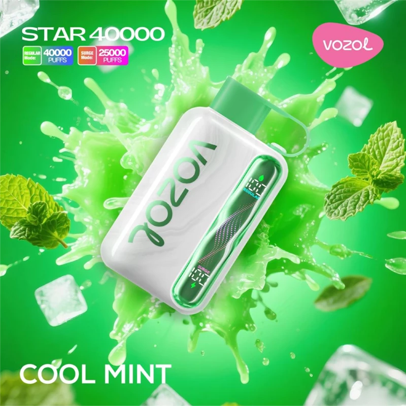 پاد یکبار مصرف ووزول استار نعنا یخ VOZOL STAR COOL MINT 40000